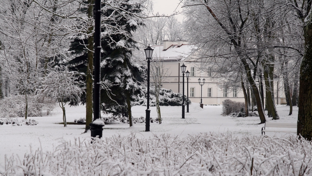 park   ogolne (3)